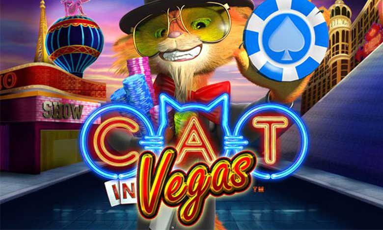 Cat in Vegas