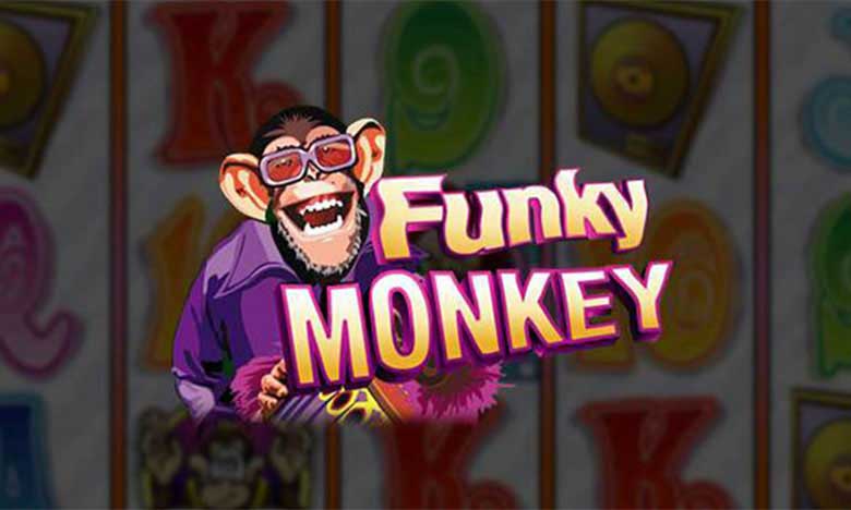 Funky Monkey