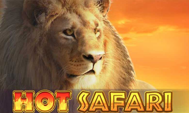 Hot Safari