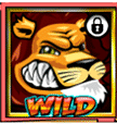 Wild Gambler Symbol