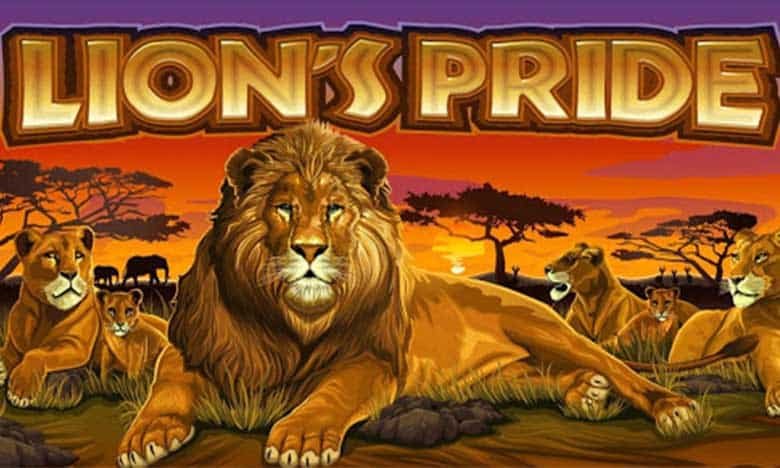 lions pride