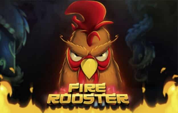 Rooster | Bkk-onlineslots