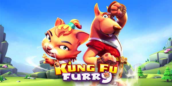 kung-fu-furry-gameplay