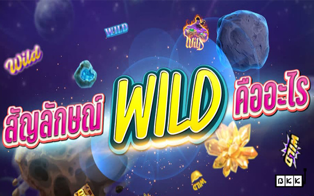 1-สัญลักษณ์Wild-คืออะไร-ทำไมต้องมีในเกมสล็อต